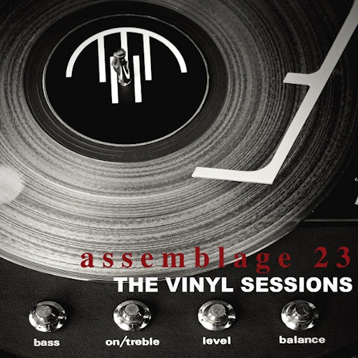 Assemblage 23 - Disapointed Rmx