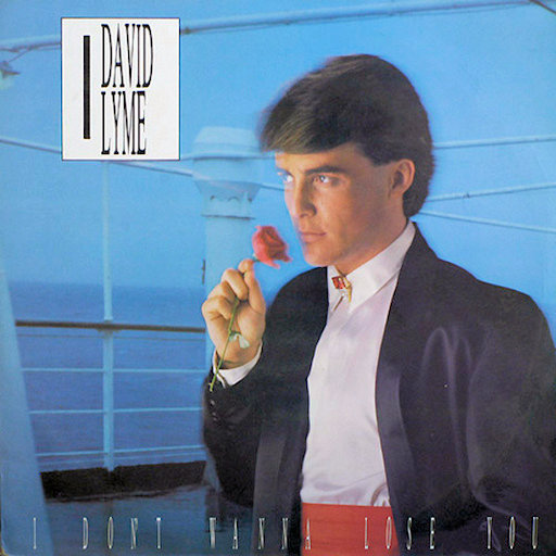 David Lyme - I don't Wanna Lose You