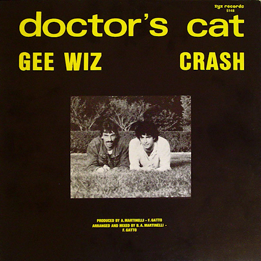 Doctor's Cat - Crash