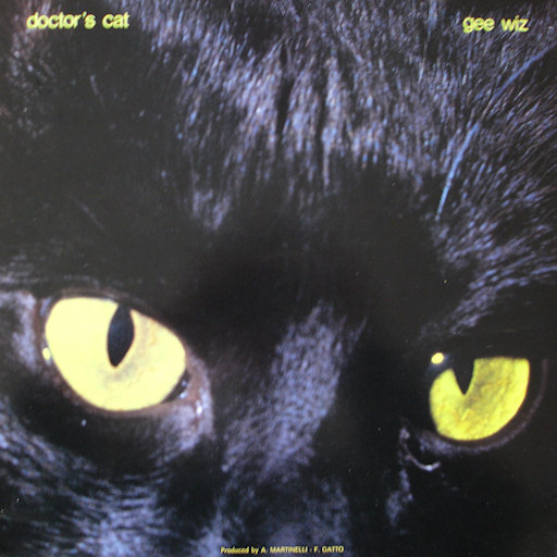 Doctor's Cat - Gee Wiz