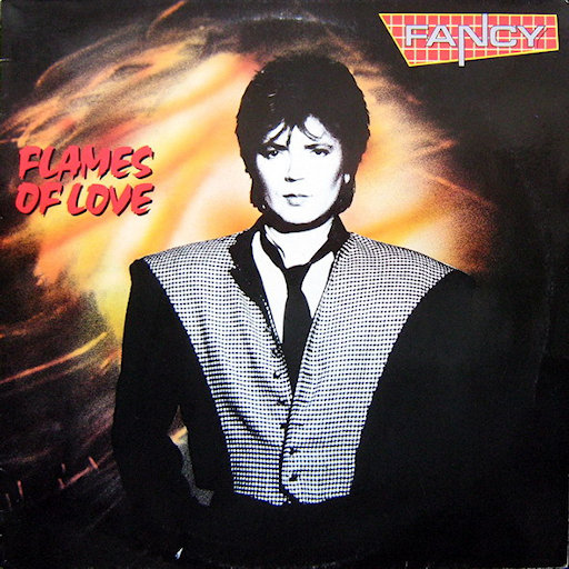 Fancy - Bodyguard