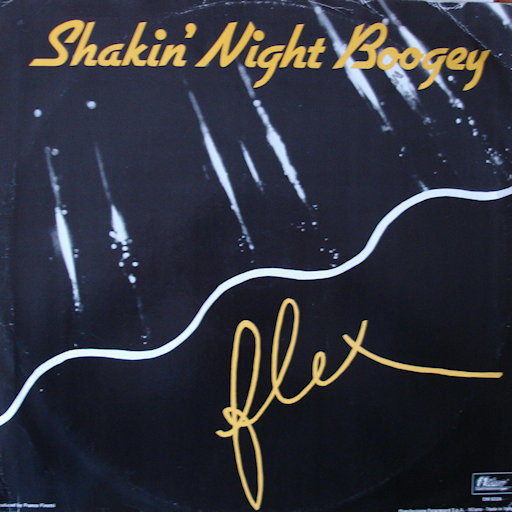Flex - Shakin' Night Boogey