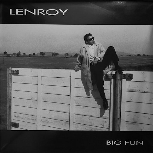 Lenroy - Big Fun