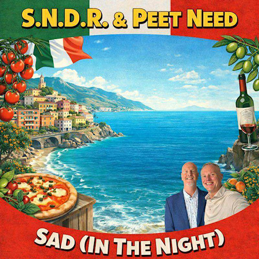 S.N.D.R. & Peet Need - Sad In The Night