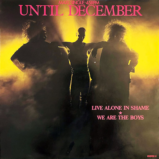 Until December - We Are The Boys
